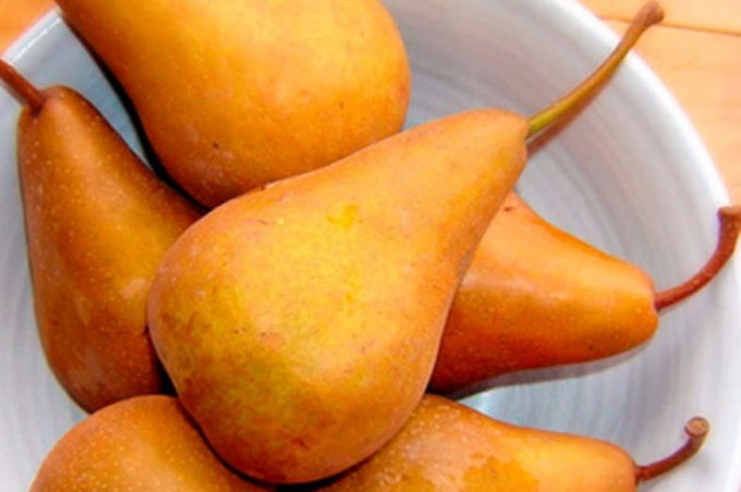 Сорт груші «Бере Боск»: характеристика, плюси і мінуси