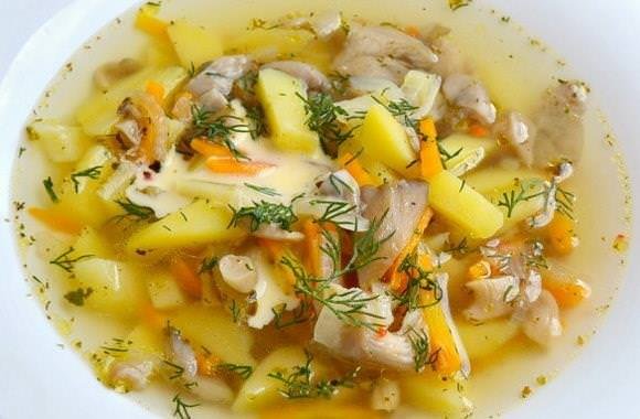 Суп з вешенками: 3 дивовижних рецепта