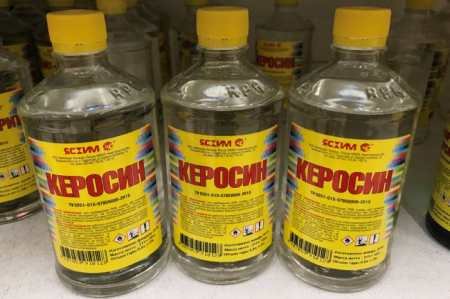 Воші: все, що ви не знали, але соромилися запитати