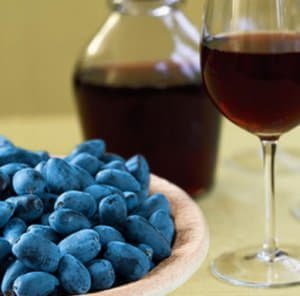 Вживання жимолості, користь і шкода для людського організму