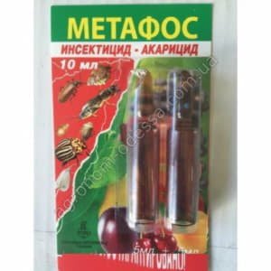 Як боротися з Медведков на дачній ділянці, вивчаємо способи