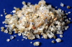 Як посадити і виростити фізаліс