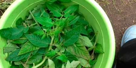 Як позбавитися від запаху в дачному туалеті — огляд дієвих способів з описом і фото