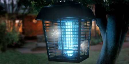 Як позбутися від бджіл сусіда — механічні і народні способи з описом і фото