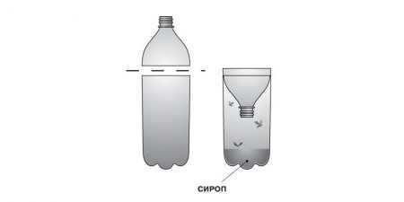 Як позбутися від бджіл сусіда — механічні і народні способи з описом і фото