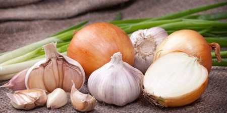 Як позбутися від двухвосток в квартирі: засоби від комах