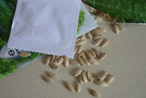 Как правильно посадить огурцы в открытый грунт семенами Фото Видео