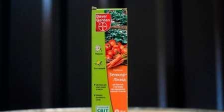 Як прибрати траву між тротуарною плиткою термічною обробкою та механічним методом