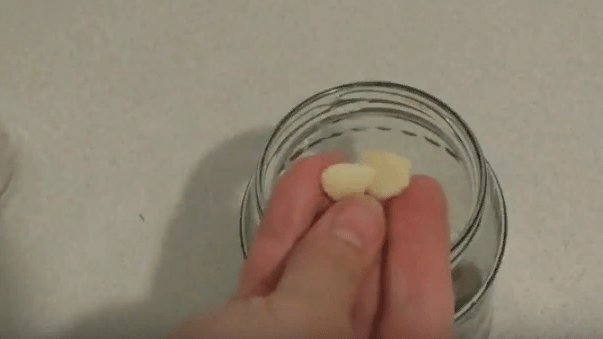 Как приготовить грибы рядовки на зиму в банках — простой рецепт в домашних условиях