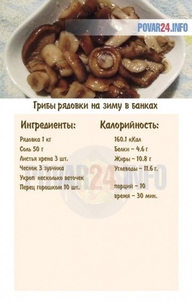 Как приготовить грибы рядовки на зиму в банках — простой рецепт в домашних условиях