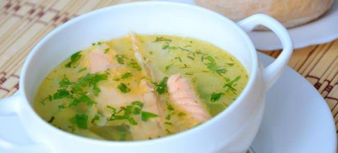 Як приготувати юшку з горбуші — 9 способів!