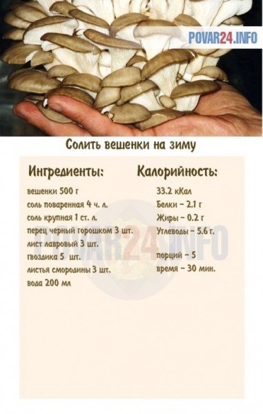 Как солить вешенки - рецепт приготовления грибов в домашних условиях на зиму быстро и вкусно