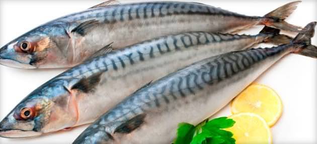 Як солити скумбрію: 5 основних рецептів