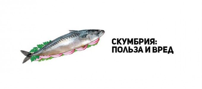 Як солити скумбрію: 5 основних рецептів