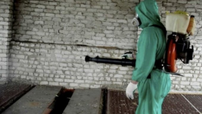 Як вилікувати хворий фасциолез ВРХ