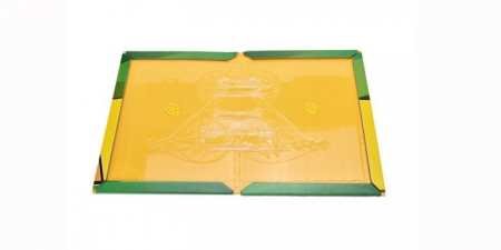 Як зловити мишу в домашніх умовах — ефективні способи