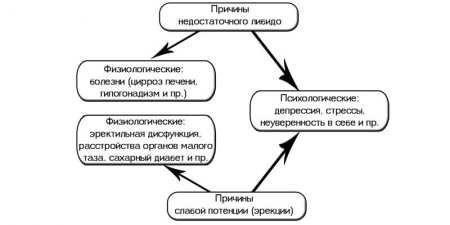 Причини зниження лібідо у чоловіків та слабкого статевого потягу
