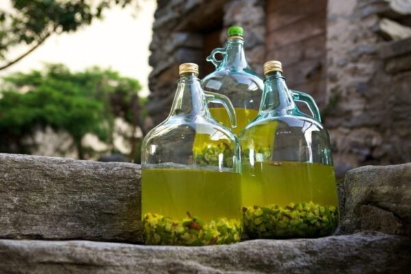 Рецепт приготування вина з агрусу: покрокова інструкція