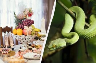 Що не можна готувати на Новий рік 2025: рекомендації та заборони