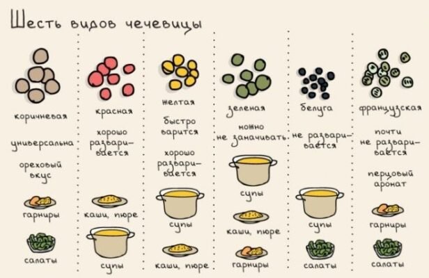 Як правильно варити сочевицю: оптимальний час та поради Як правильно варити сочевицю: оптимальний час та поради