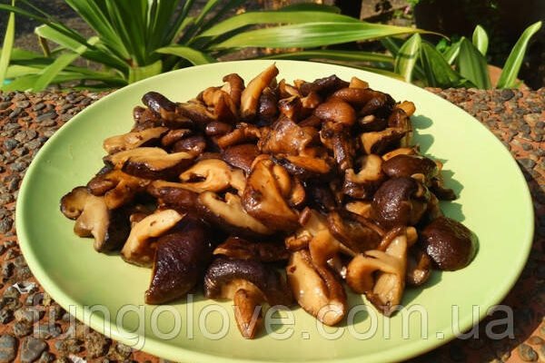 Смачні рецепти з шиітаке: найкращі способи приготування японських грибів Смачні рецепти з шиітаке: найкращі способи приготування японських грибів