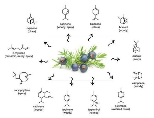 Як приготувати джин в домашніх умовах: покроковий рецепт та поради