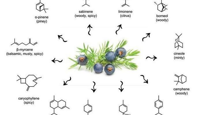 Як приготувати джин в домашніх умовах: покроковий рецепт та поради