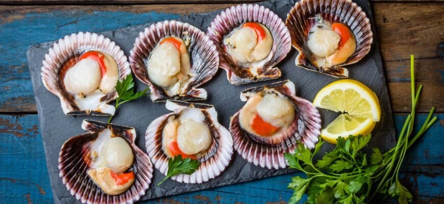 Смачні та легкі рецепти гребешків для вашого столу Смачні та легкі рецепти гребешків для вашого столу