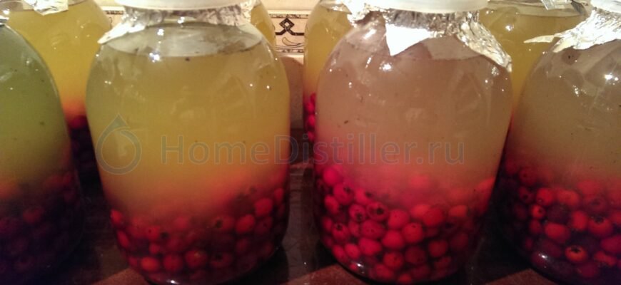 Рецепт настоянки глоду: покрокове приготування в домашніх умовах