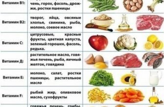 Рецепт Домашньої Каші для Котів: Корисне Та Смачне Харчування