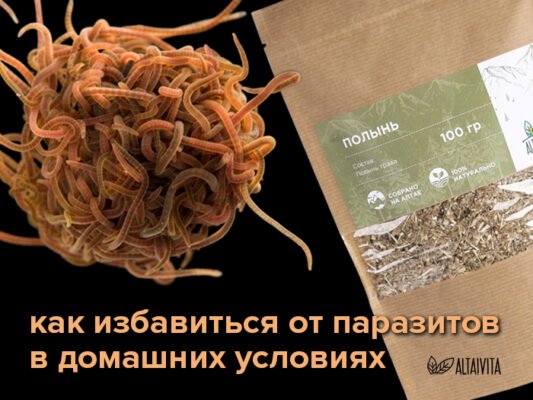 Народний метод боротьби з глистами: старовинний рецепт бабусі