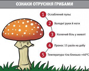 Скільки часу варити гриби: детальний гайд для початківців кухарів Скільки часу варити гриби: детальний гайд для початківців кухарів
