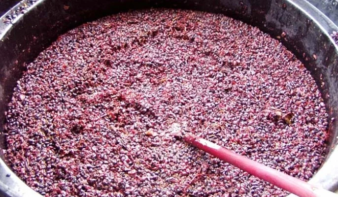 Рецепт приготування домашньої чачі: покрокова інструкція та поради