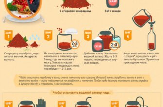 Рецепт домашнього вина: покрокова інструкція для початківців виноробів