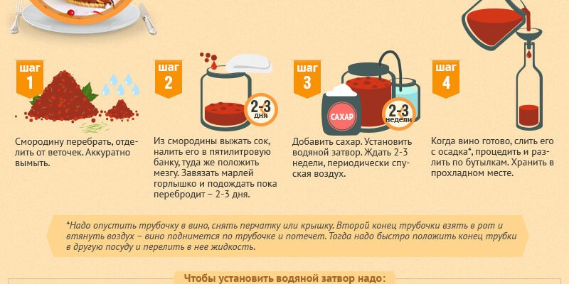 Рецепт домашнього вина: покрокова інструкція для початківців виноробів Рецепт домашнього вина: покрокова інструкція для початківців виноробів