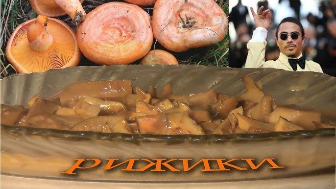 Рецепти приготування рижиків: як готувати смачно та швидко Рецепти приготування рижиків: як готувати смачно та швидко