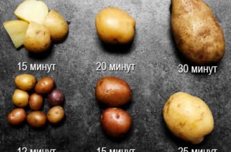 Скільки часу варити картоплю в мундирах: покрокова інструкція