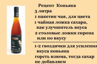 Домашній коньяк: покроковий рецепт для ідеального напою в домашніх умовах