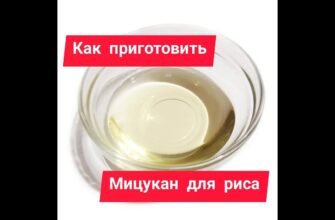 Секрети приготування традиційного мицукану: покроковий рецепт для гурманів