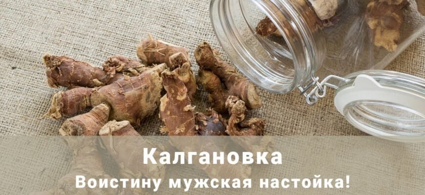 Ефективні рецепти з коренем калгану для чоловічого здоров’я Ефективні рецепти з коренем калгану для чоловічого здоров’я