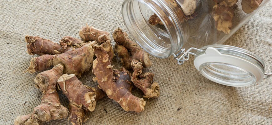 Рецепт настоянки калгану: приготування та корисні властивості