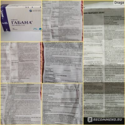 Рецепт смачної габани: покрокова інструкція приготування вдома