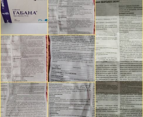 Рецепт смачної габани: покрокова інструкція приготування вдома