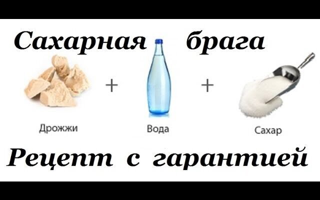 Рецепт приготування браги: покрокова інструкція та поради