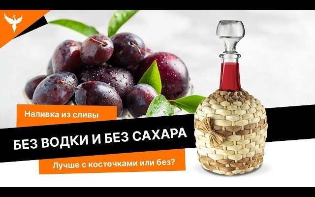 Рецепт домашньої слив’янки без використання горілки: покроковий гід