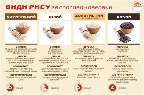Як правильно варити рис: покрокова інструкція та поради