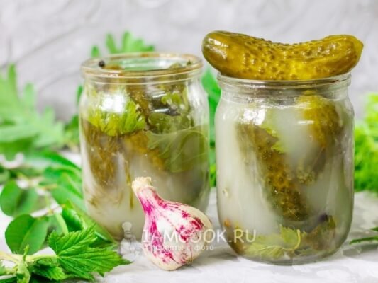 Рецепт квашених огірків холодним способом: покрокова інструкція Рецепт квашених огірків холодним способом: покрокова інструкція