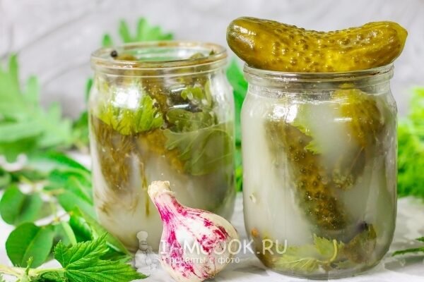 Рецепт квашених огірків холодним способом: покрокова інструкція