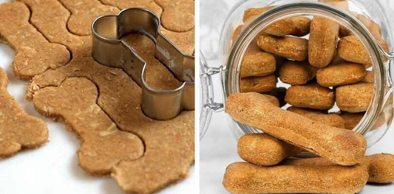 Рецепт домашнього печива для собак: готуємо легко і швидко