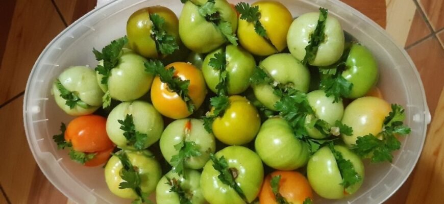 Рецепт квашених зелених помідорів у відрі: покрокова інструкція Рецепт квашених зелених помідорів у відрі: покрокова інструкція